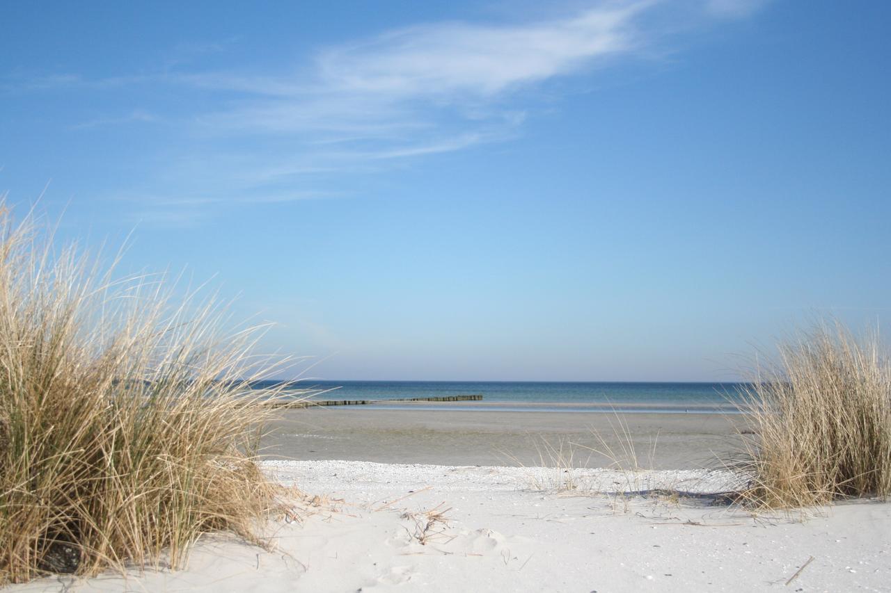 Villa Strandblick 12 Zingst Εξωτερικό φωτογραφία